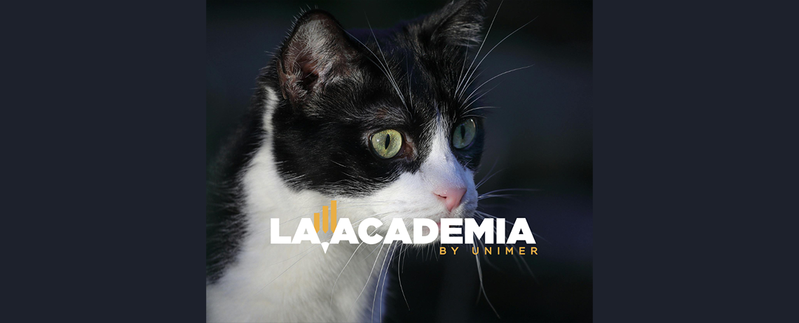 NACE UNA NUEVA GENERACIÓN DE CONSUMIDORES: LOS “PET PARENTS”